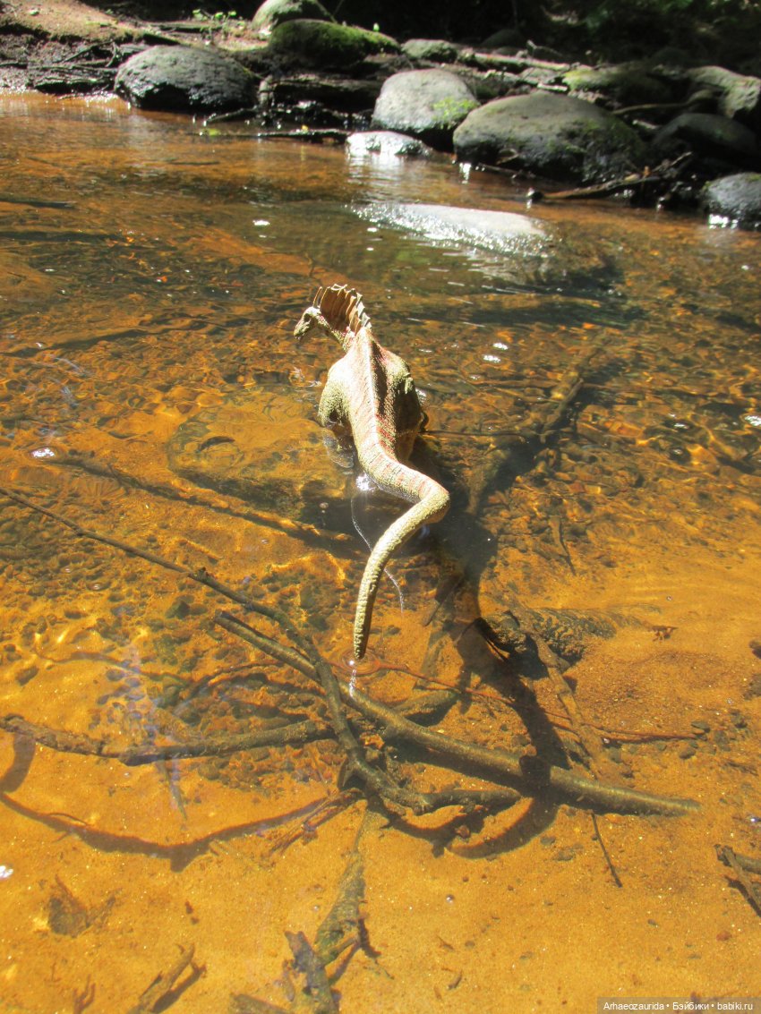 Красная Река: всплывая со дна