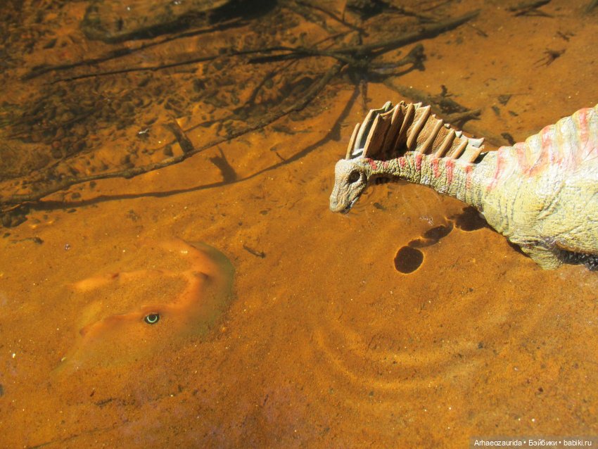 Красная Река: всплывая со дна