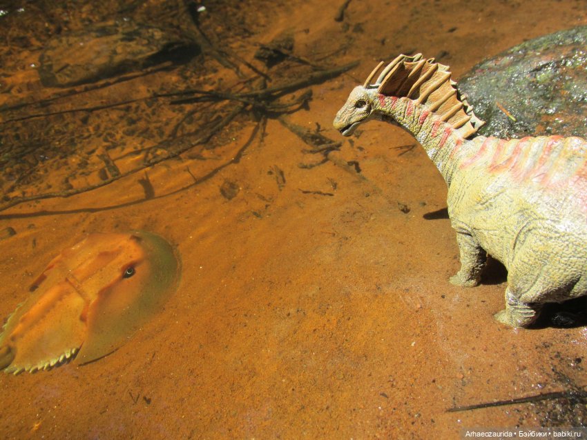 Красная Река: всплывая со дна