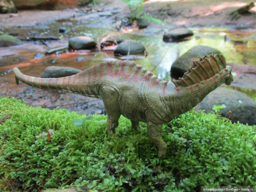 Красная Река: всплывая со дна (фото 8)