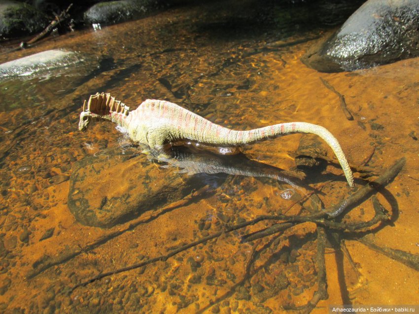 Красная Река: всплывая со дна