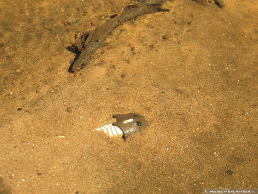 Красная Река: всплывая со дна