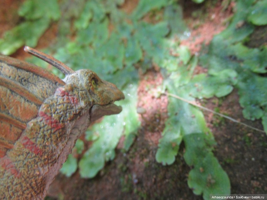 Красная Река: всплывая со дна (фото 4)
