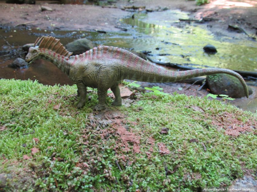 Красная Река: всплывая со дна (фото 7)