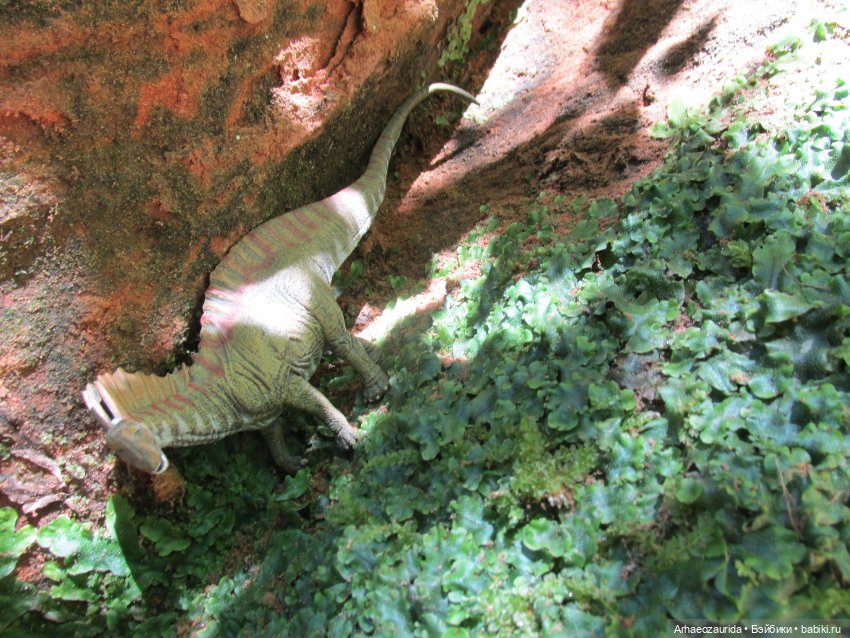 Красная Река: всплывая со дна