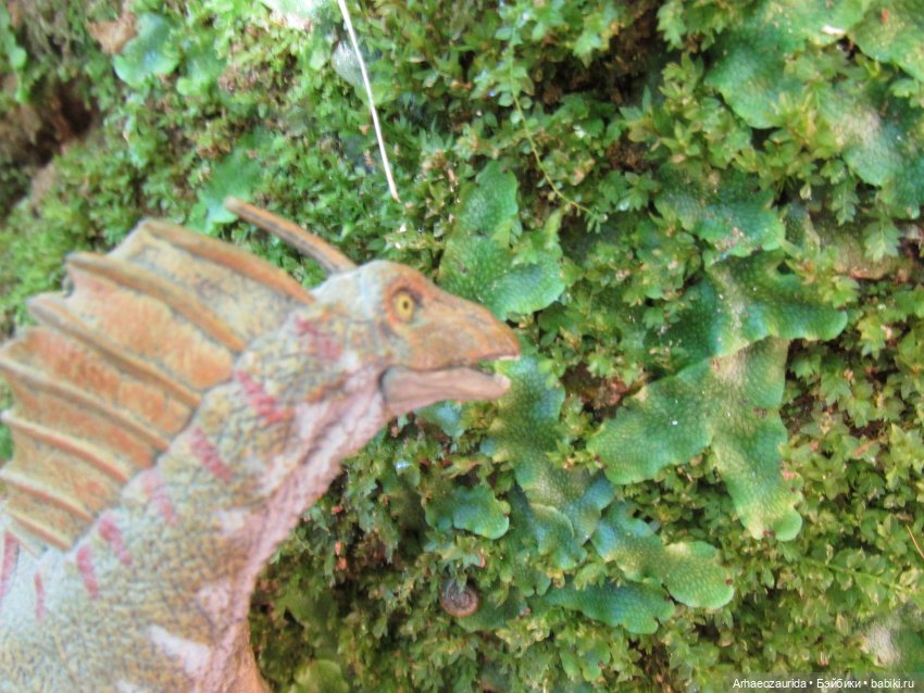 Красная Река: всплывая со дна (фото 3)