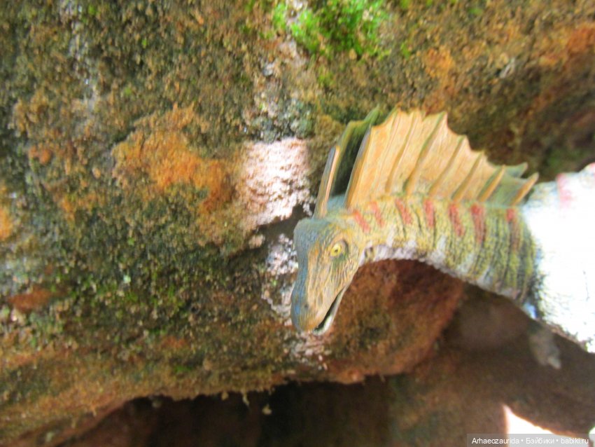 Красная Река: всплывая со дна (фото 2)