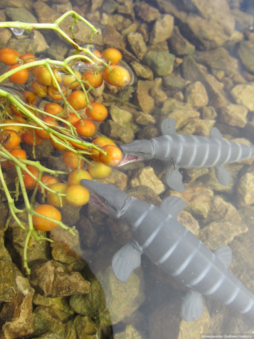 Ящеры у реки: все водоплавающие (фото 2)