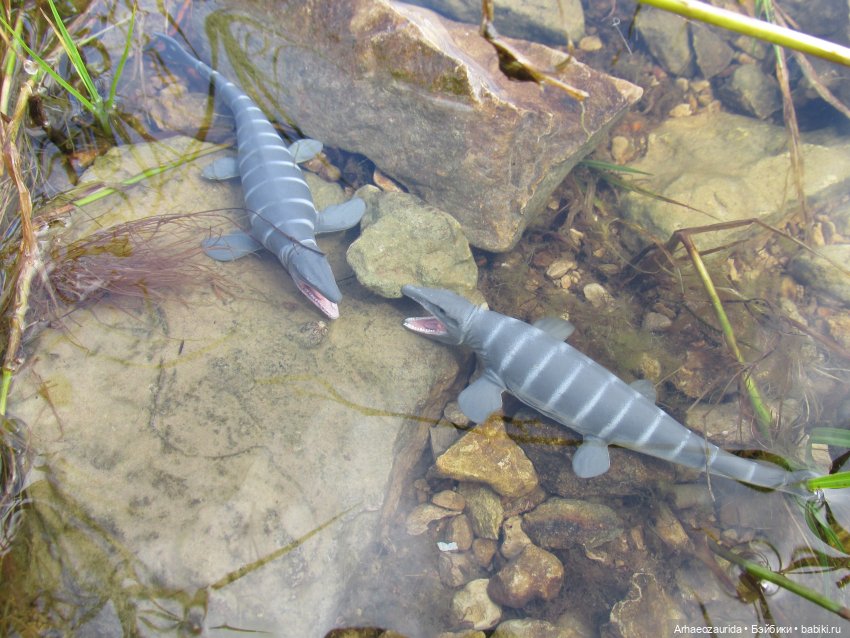 Ящеры у реки: все водоплавающие