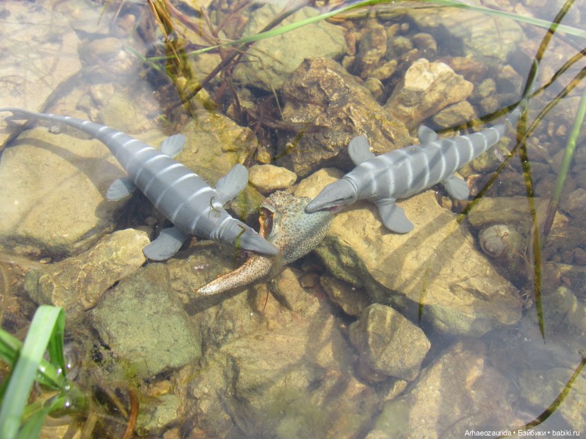 Ящеры у реки: все водоплавающие (фото 10)