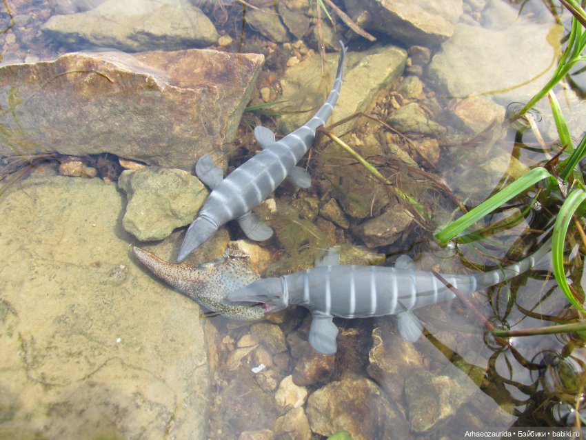 Ящеры у реки: все водоплавающие