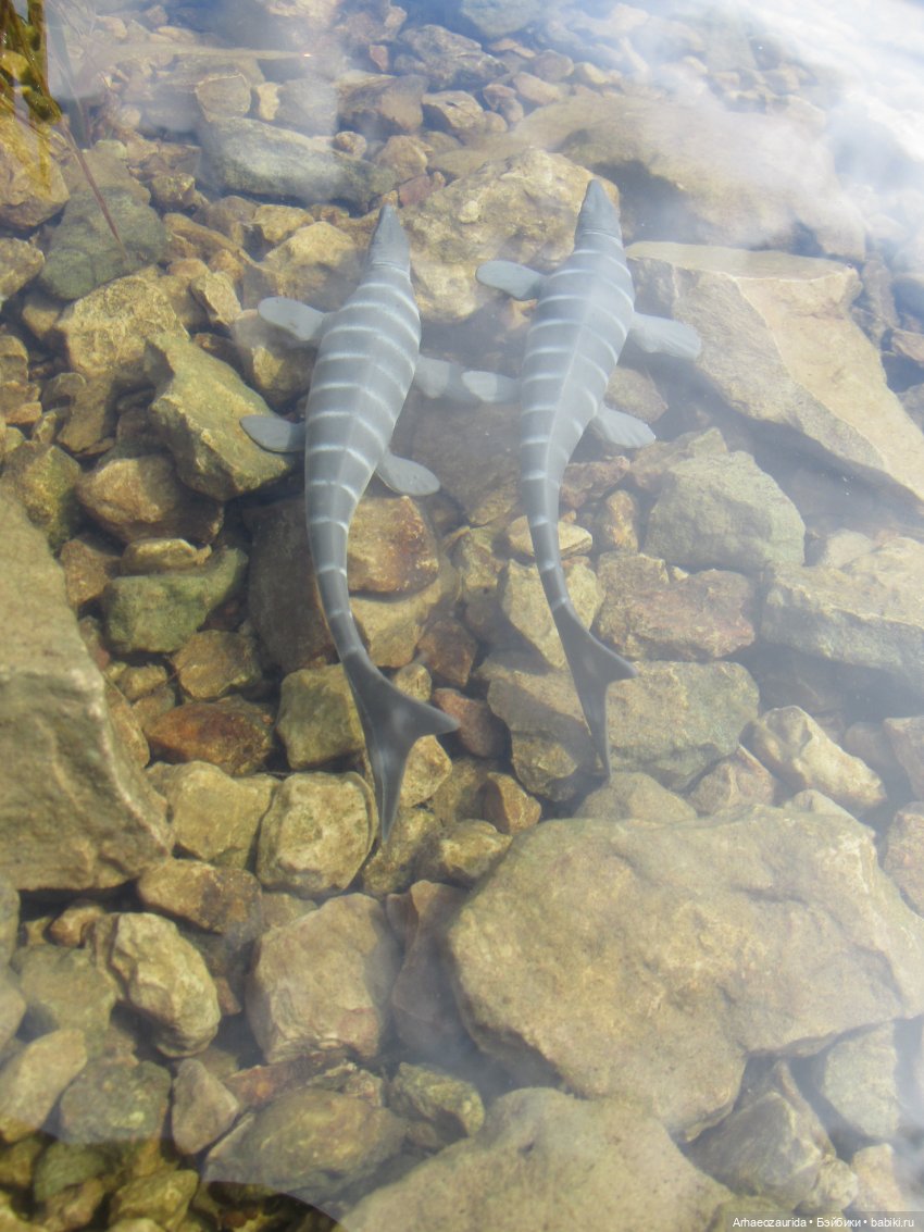 Ящеры у реки: все водоплавающие