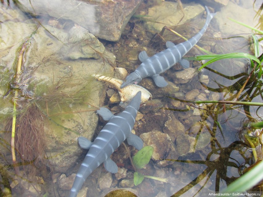 Ящеры у реки: все водоплавающие (фото 9)