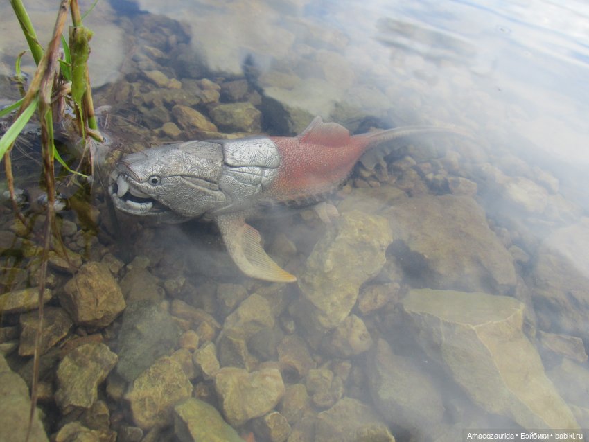 Ящеры у реки: все водоплавающие