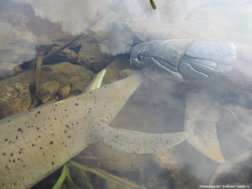 Ящеры у реки: все водоплавающие