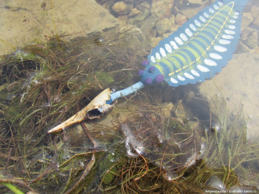 Ящеры у реки: все водоплавающие (фото 4)