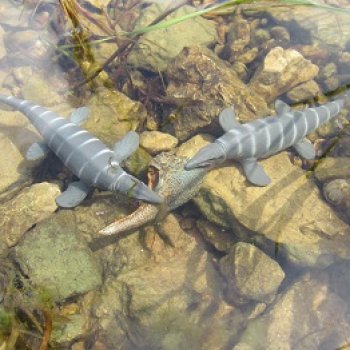 Ящеры у реки: все водоплавающие