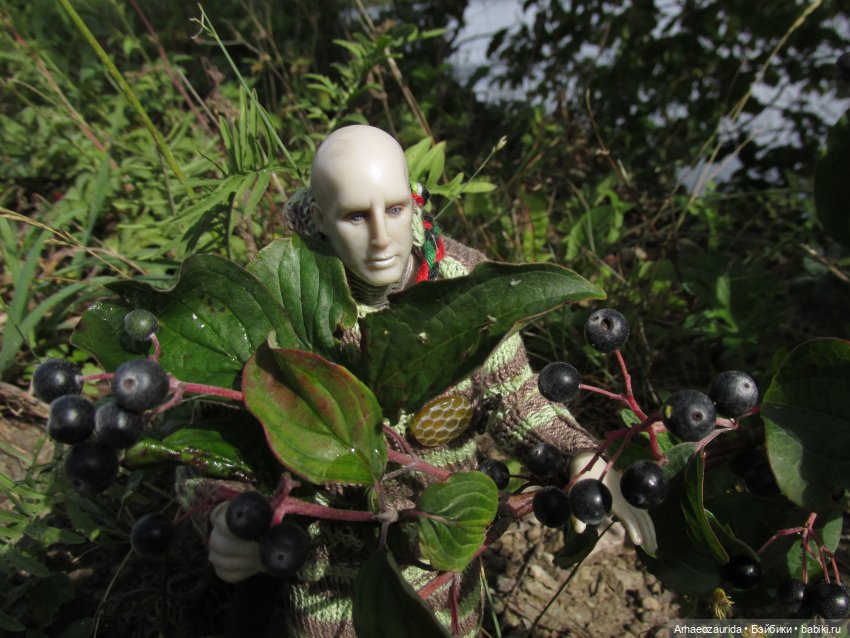 Земля Древних, часть 1 — Интересные игрушки и фигурки (разное): редкие (фото 8)