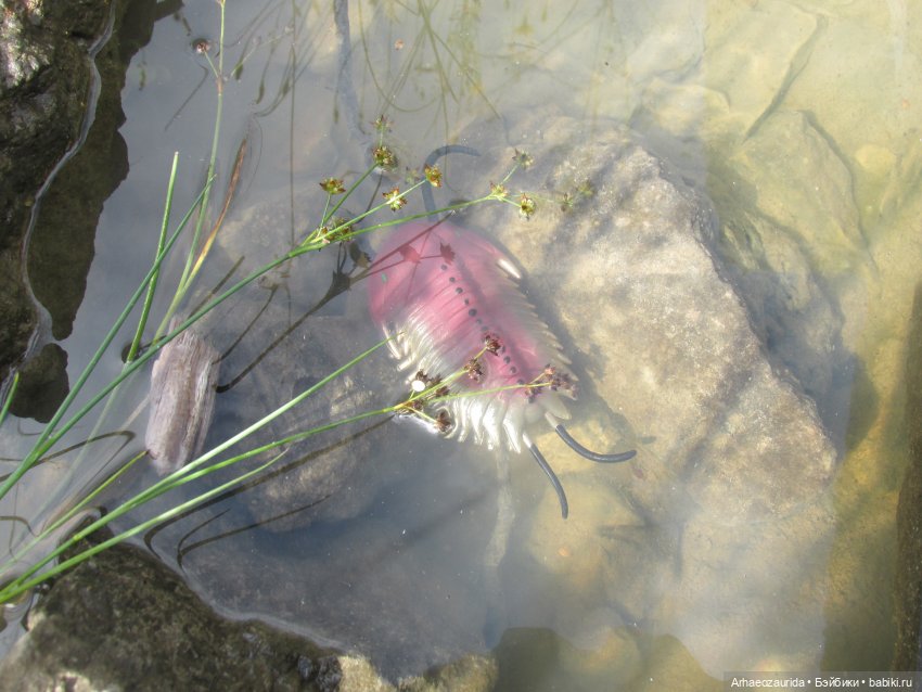 Земля Древних, часть 1 — Интересные игрушки и фигурки (разное): редкие