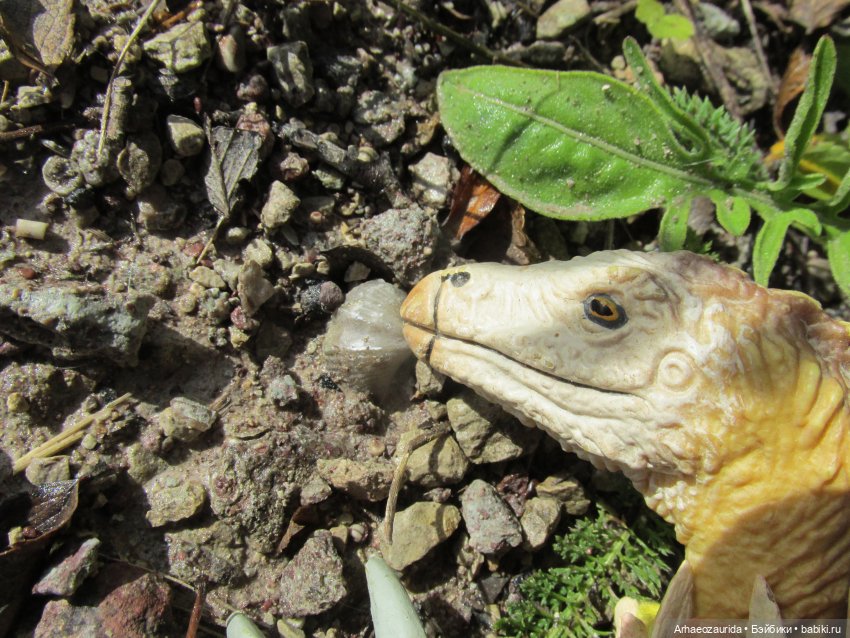 Земля Древних, часть 1 — Интересные игрушки и фигурки (разное): редкие (фото 4)