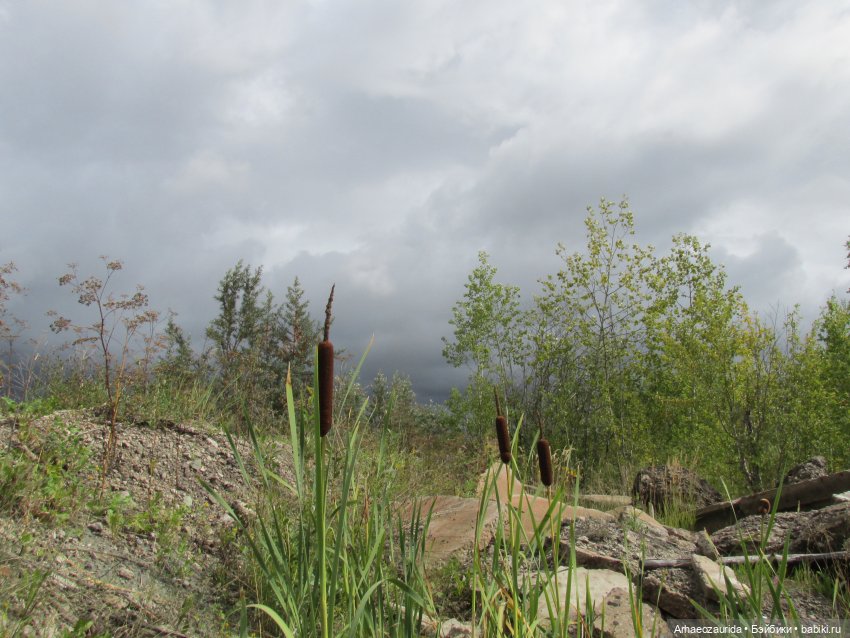 Земля Древних, часть 1 — Интересные игрушки и фигурки (разное): редкие