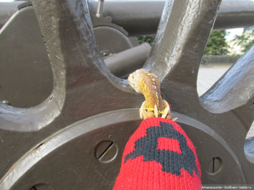 Земля Древних, часть 2 — Интересные игрушки и фигурки (разное): редкие