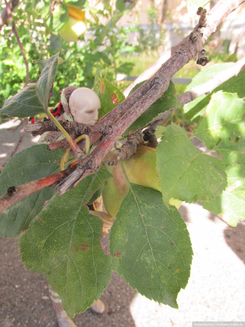 Земля Древних, часть 2 — Интересные игрушки и фигурки (разное): редкие