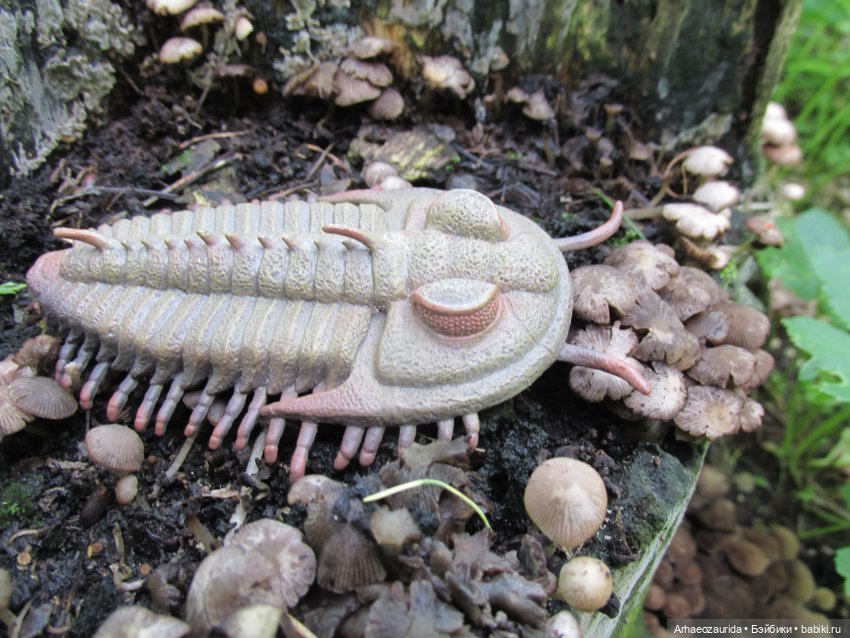 Земля Древних, часть 3 — Интересные игрушки и фигурки (разное): редкие (фото 9)