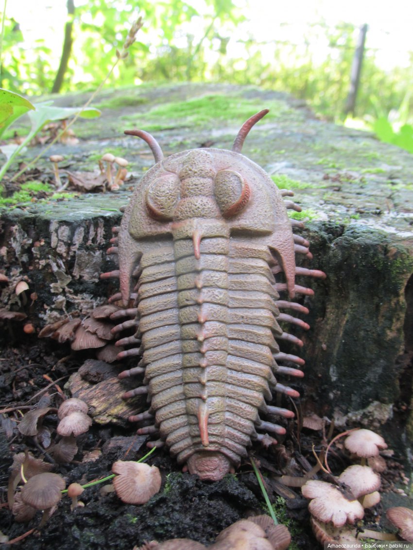 Земля Древних, часть 3 — Интересные игрушки и фигурки (разное): редкие (фото 8)