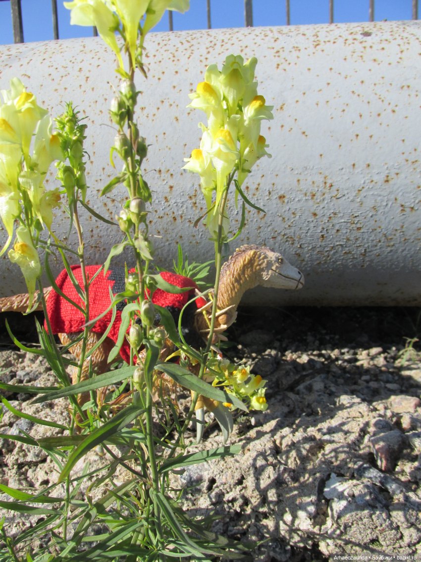 Земля Древних, часть 3 — Интересные игрушки и фигурки (разное): редкие