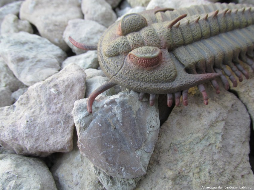 Земля Древних, часть 4 — Интересные игрушки и фигурки (разное): редкие (фото 4)