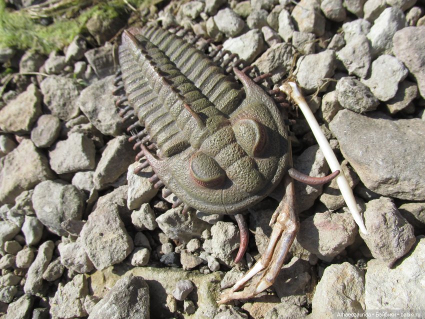 Земля Древних, часть 4 — Интересные игрушки и фигурки (разное): редкие (фото 2)