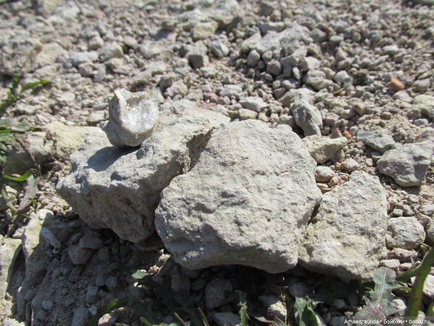 Земля Древних, часть 4 — Интересные игрушки и фигурки (разное): редкие