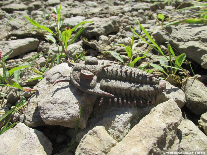 Земля Древних, часть 4 — Интересные игрушки и фигурки (разное): редкие