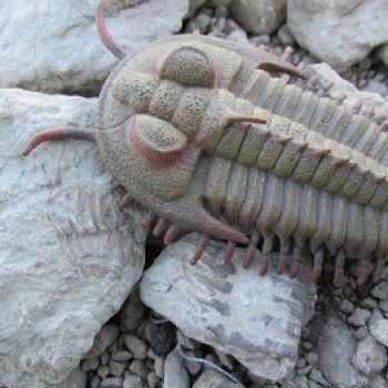 Земля Древних, часть 4