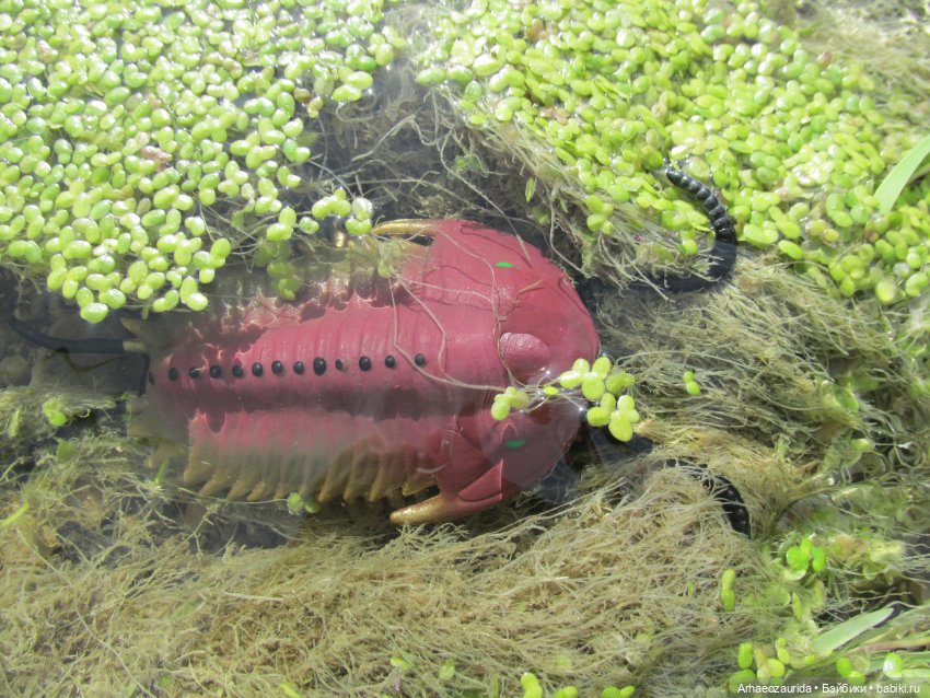 Земля Древних, часть 5 — Интересные игрушки и фигурки (разное): редкие