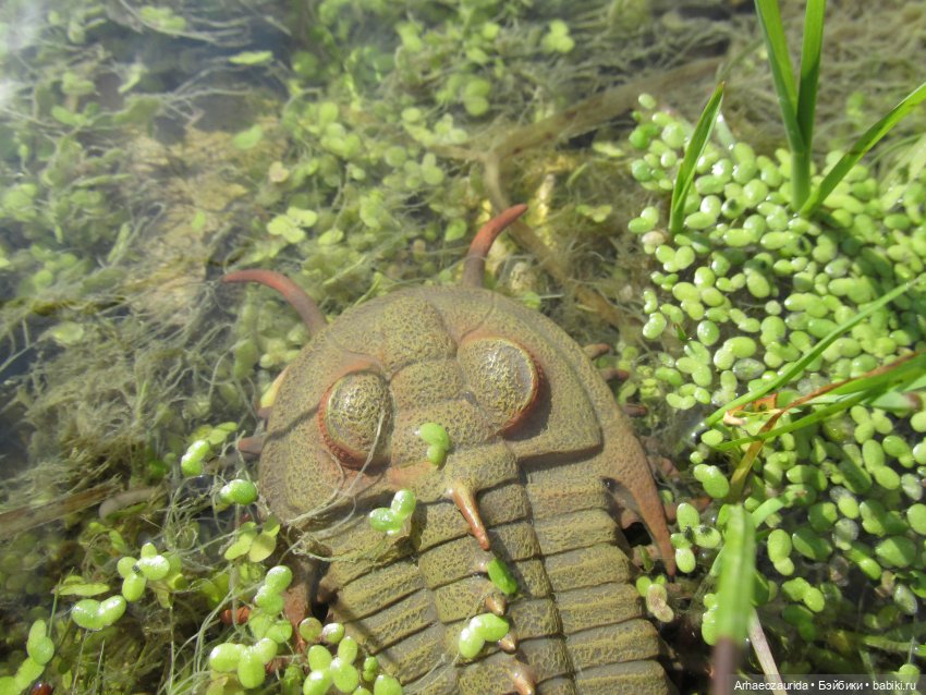 Земля Древних, часть 5 — Интересные игрушки и фигурки (разное): редкие