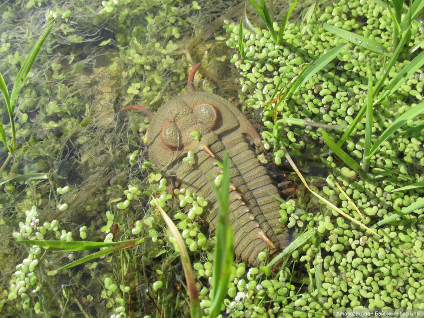 Земля Древних, часть 5 — Интересные игрушки и фигурки (разное): редкие