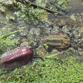 Земля Древних, часть 5