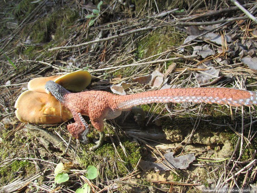 Ящеры в лесу: опасная осень