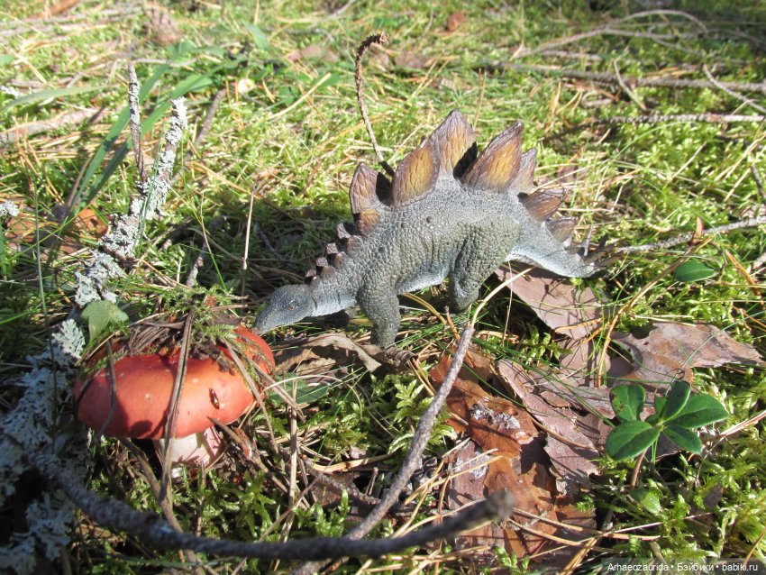 Ящеры в лесу: опасная осень (фото 2)