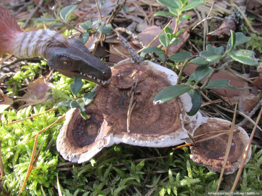 Ящеры в лесу: опасная осень