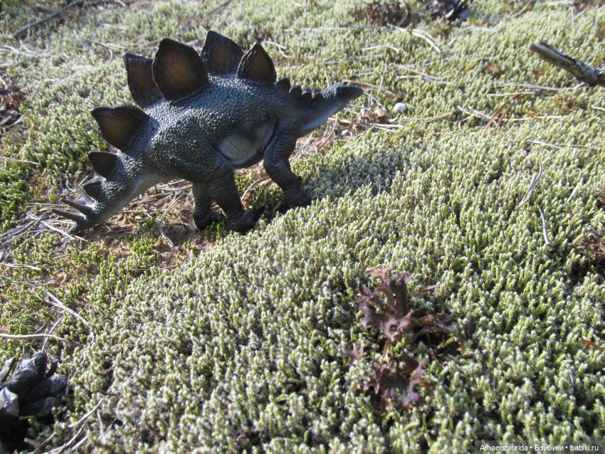 Ящеры в лесу: опасная осень