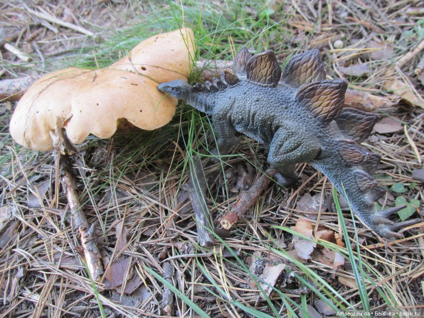 Ящеры в лесу: опасная осень