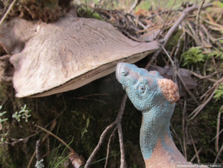 Ящеры в лесу: опасная осень (фото 10)