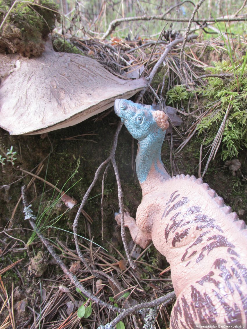 Ящеры в лесу: опасная осень (фото 9)