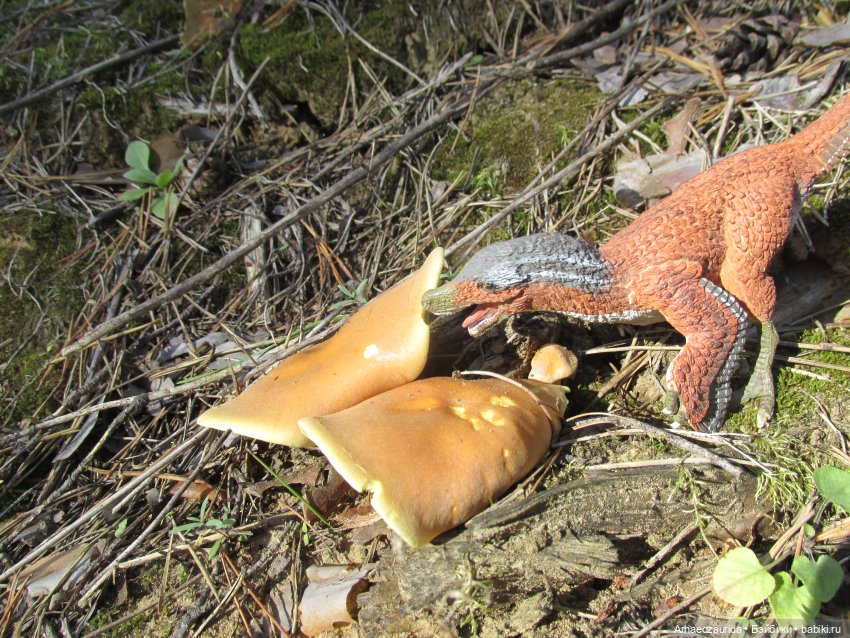 Ящеры в лесу: опасная осень