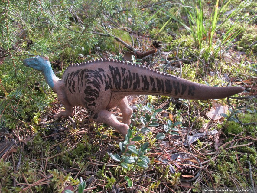 Ящеры в лесу: опасная осень (фото 6)