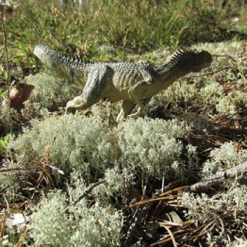 Ящеры в лесу: опасная осень