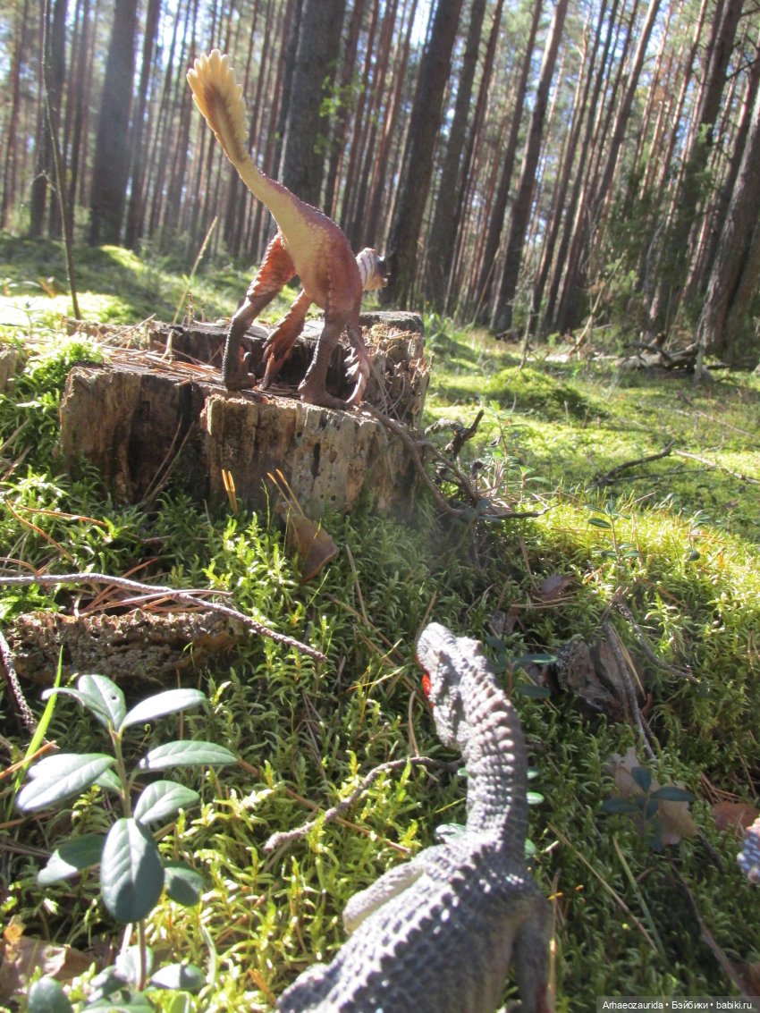 Ящеры в лесу: чужая добыча | Бэйбики Ящеры в лесу: чужая добыча